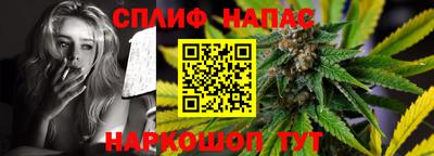 МДПВ Славгород