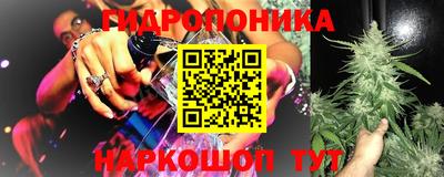 МДПВ Славгород