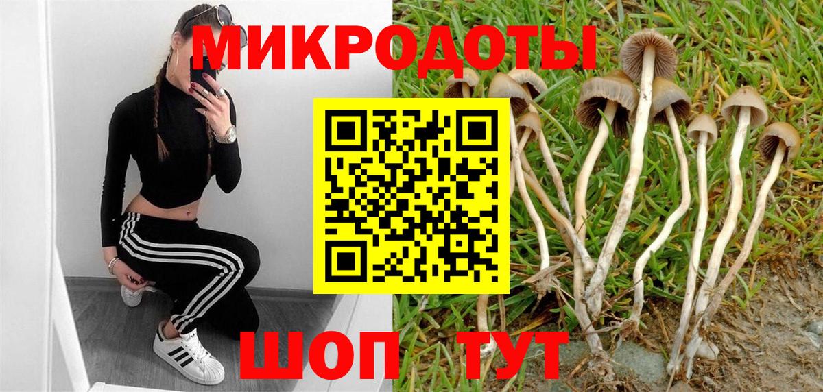 Псилоцибиновые грибы Psilocybine cubensis  Вход с VPN  Оренбург  где найти наркотики  Галлюциногенные грибы ЛСД 