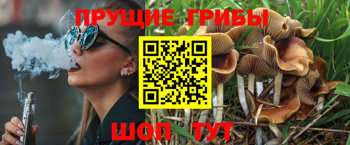 Псилоцибиновые грибы GOLDEN TEACHER Оренбург